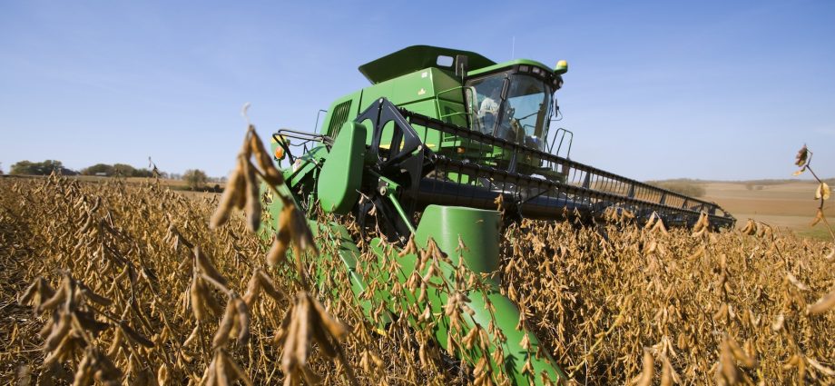 how-soybeans-took-over-the-american-diet-–-without-anyone noticing