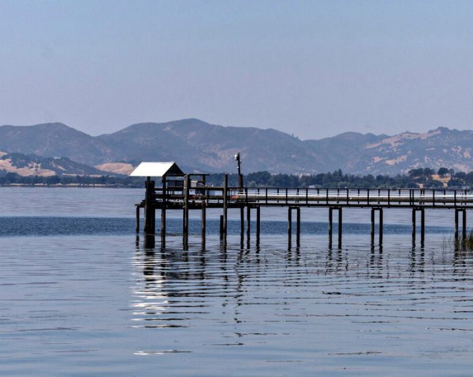 california’s-biggest-lake-is-in-crisis.-now-tribes-are-coming-back-to-save-its-sacred-fish