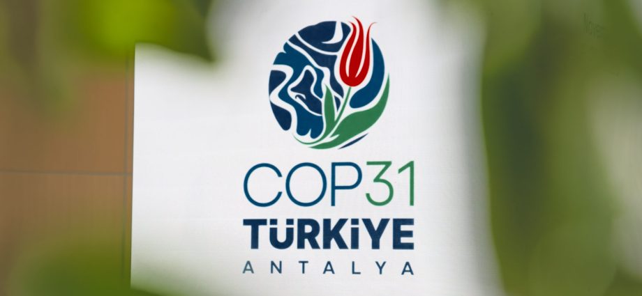 fossil-fuel-tied-pr-agency-supporting-un.-climate-conference
