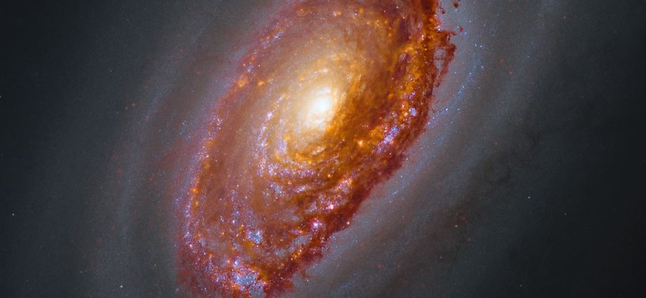 apod:-2026-september-16-–-webb’s-view-of-m64