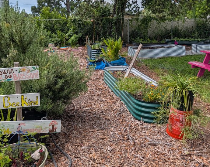 in-tampa,-community-gardeners-say-they-need-more-funding,-not-more-information,-to-feed-neighbors-in-need