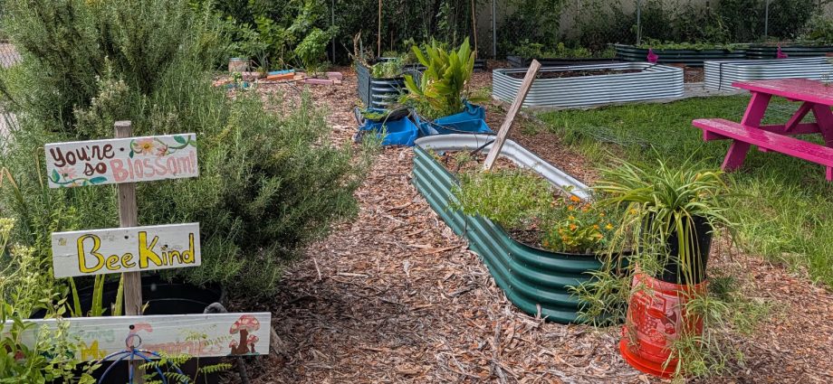 in-tampa,-community-gardeners-say-they-need-more-funding,-not-more-information,-to-feed-neighbors-in-need