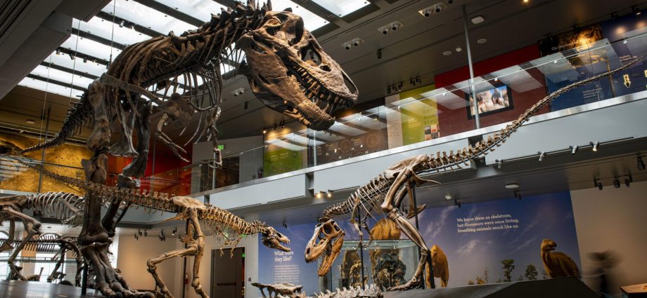 new-evidence-shows-that-you-are-only-slightly-hotter-than-a-t.-rex