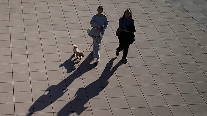 russia’s-top-selling-dog-vaccine-linked-to-spate-of-pet-deaths-across-the-country