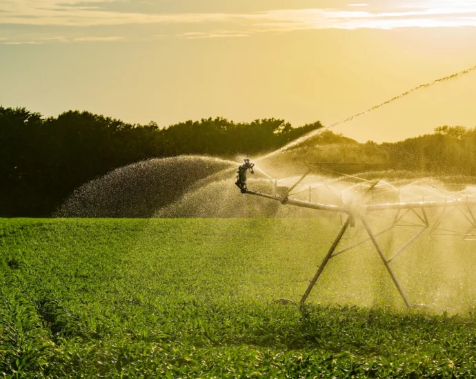 irrigation’s-climate-benefit-could-equal-363-years-of-its-own-emissions