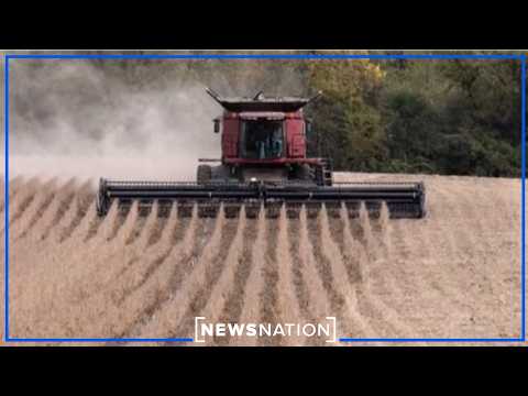farmers-face-rising-costs-and-falling-profits-entering-harvest-season