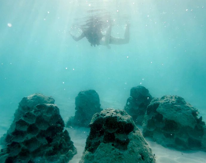 rising-seas-are-gobbling-up-beaches-around-the-world-ai-might-restore-them.