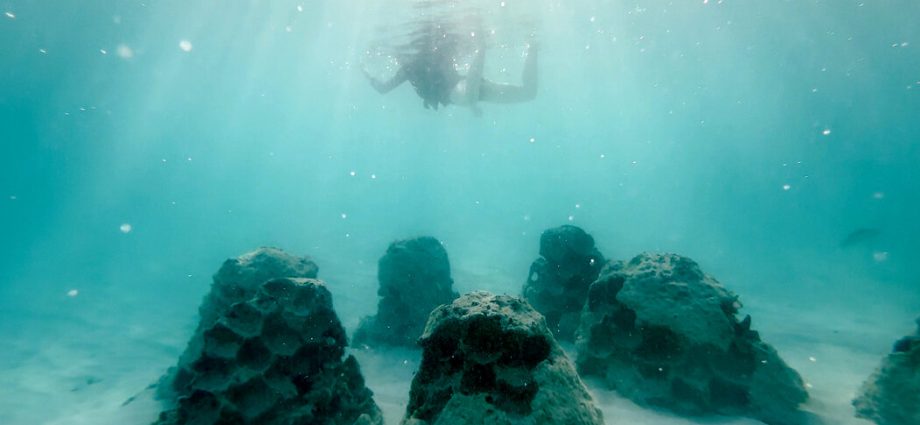 rising-seas-are-gobbling-up-beaches-around-the-world-ai-might-restore-them.