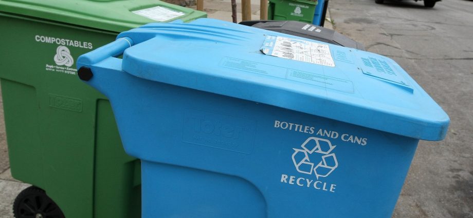 brand-choices,-online-shopping-causing-a-shift-in-recycling-trends,-report-finds