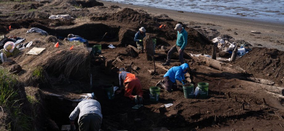 archaeologists-are-racing-to-save-precious-artifacts-in-alaska-after-last-year’s-storm