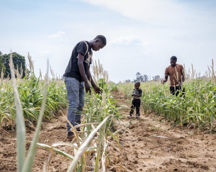 for-climate-vulnerable-countries,-debt-costs-25-times-more-than-climate-action