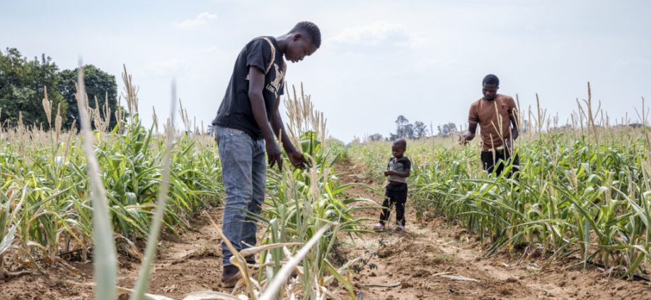 for-climate-vulnerable-countries,-debt-costs-25-times-more-than-climate-action