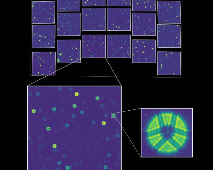 NASA’s Nancy Grace Roman Telescope glimpses its first cosmic light