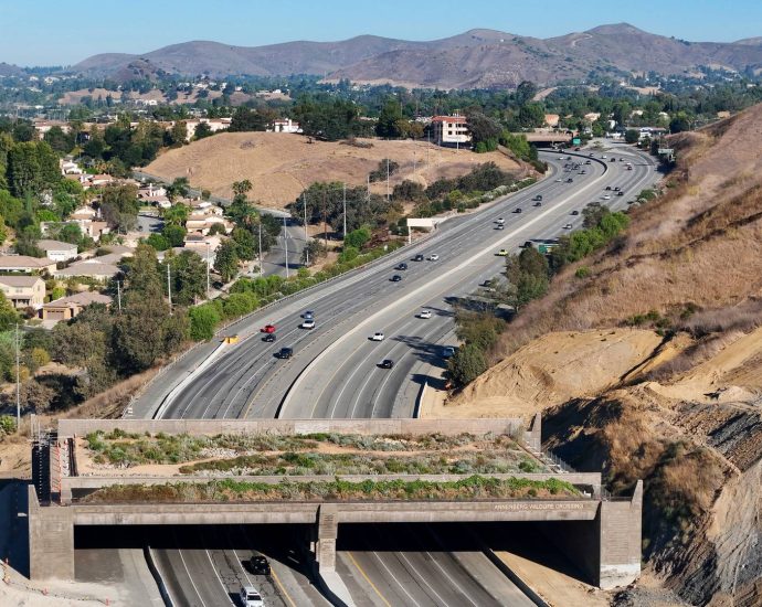 wildlife-crossings-are-popping-up-everywhere,-but-there’s-a-less-sexy-measure-that’s-more-important