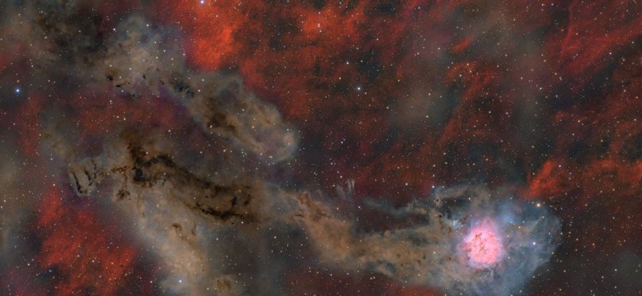 apod:-2026-september-21-–-cocoon-nebula-wide-field