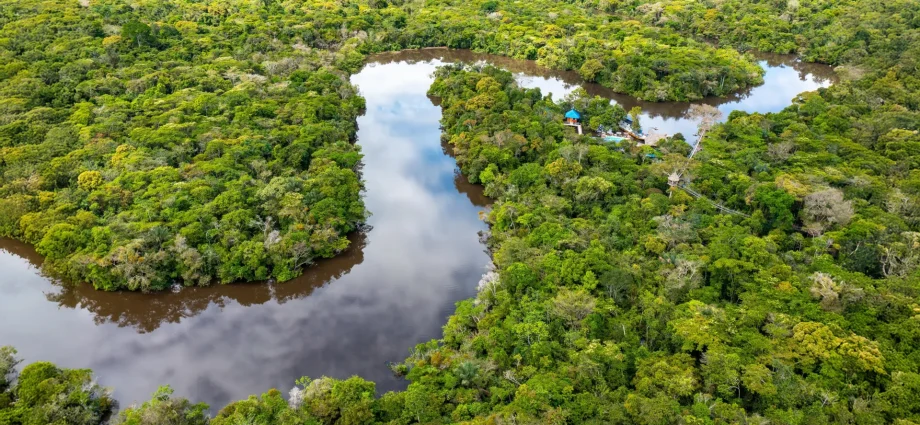 amazon-study-reveals-the-best-strategies-for-protecting-biodiversity-and-carbon