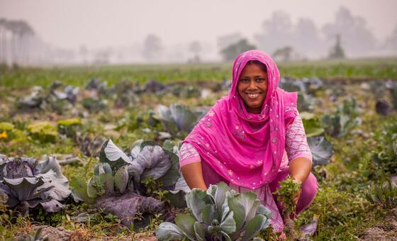 why-climate-action-now-comes-down-to-speed,-finance-and-cooperation