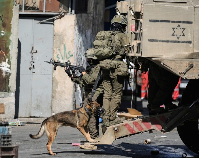 palestine-weekly:-violent-disruptions-from-olive-groves-to-al-aqsa-mosque