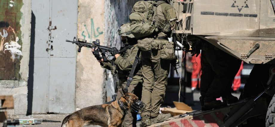 palestine-weekly:-violent-disruptions-from-olive-groves-to-al-aqsa-mosque