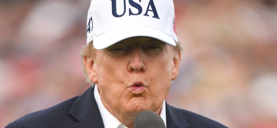 top-wall-street-journal-editor-utterly-shreds-the-traitor-after-years-of-resisting-‘tds’