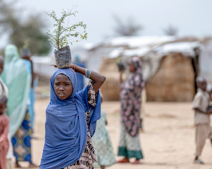 hundreds-flee-homes-in-far-north-cameroon-after-armed-group-raid-kills-15