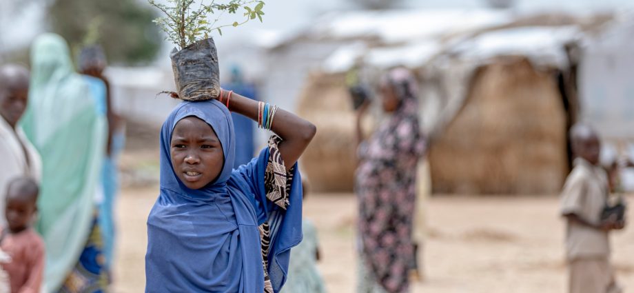 hundreds-flee-homes-in-far-north-cameroon-after-armed-group-raid-kills-15