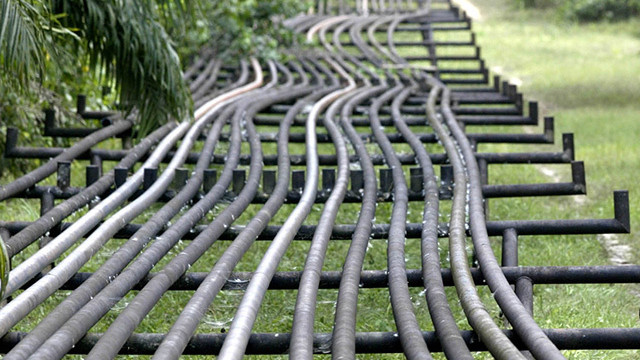 US Gasoline, Distillate Inventories Continue to Fall as Crude Stocks Hold