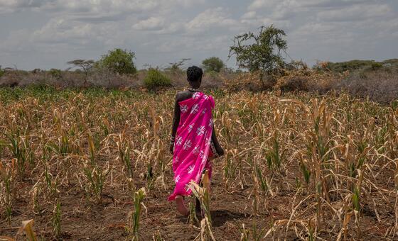 how-el-nino-offers-a-test-of-whether-the-world-can-adapt-to-a-changing-climate