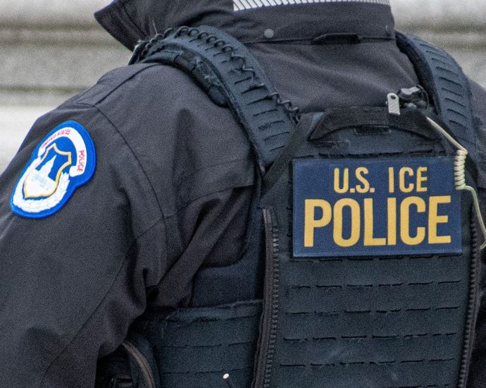 ice-under-scrutiny-after-incidents-in-illinois,-texas,-and-michigan