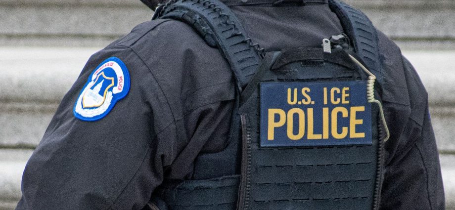 ice-under-scrutiny-after-incidents-in-illinois,-texas,-and-michigan
