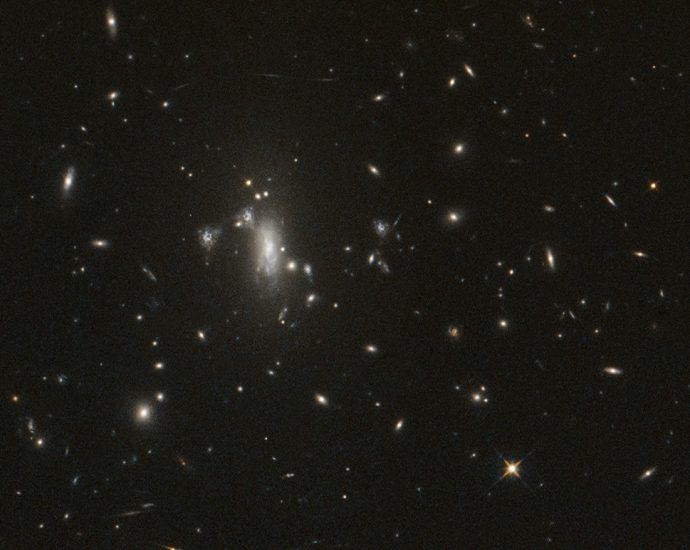 nasa’s-hubble-seeks-lensed-supernova,-marks-200,000-orbits