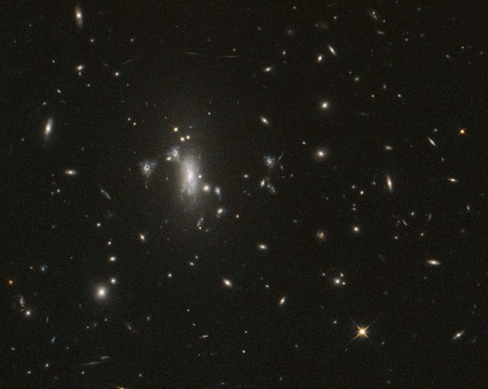 nasa’s-hubble-telescope-reaches-milestone,-looks-for-elusive-supernova