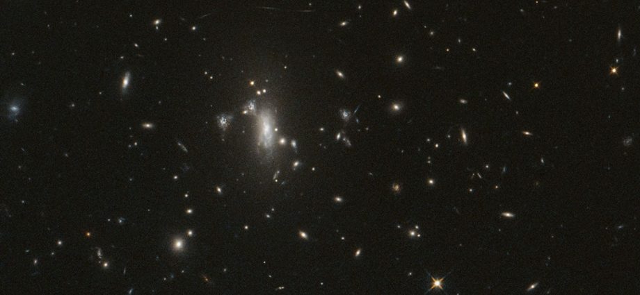 nasa’s-hubble-telescope-reaches-milestone,-looks-for-elusive-supernova