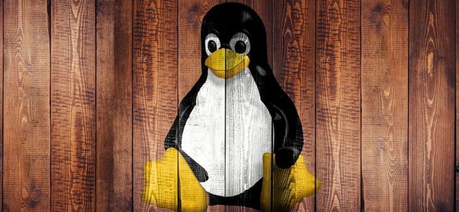 Linux users beware — CISA flags three major security issues you need to patch right now