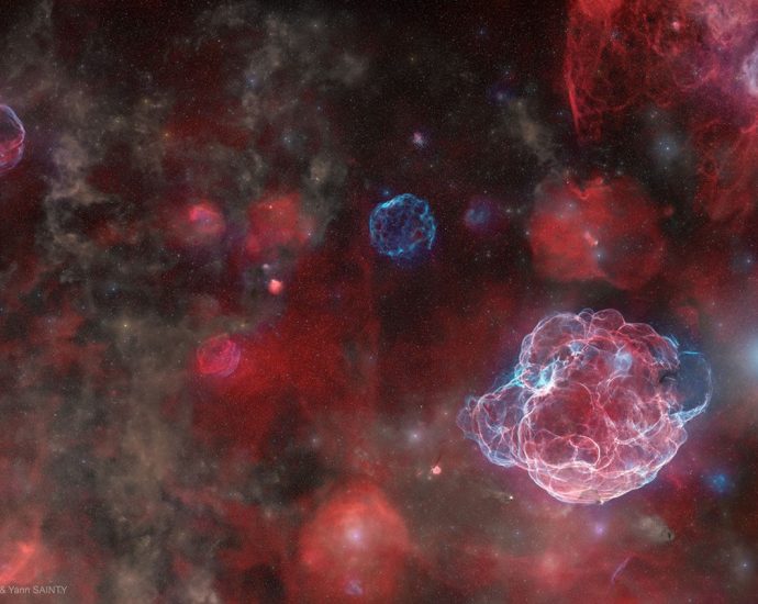 apod:-2026-september-24-–-the-ghosts-of-five-supernovas