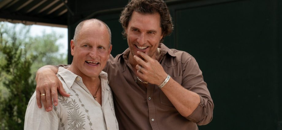 why-brothers-is-the-wild,-meta-comedy-ride-you-didn’t-know-you-needed