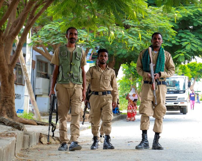 ethiopian-army-says-272-tigrayan-fighters-killed-in-amhara