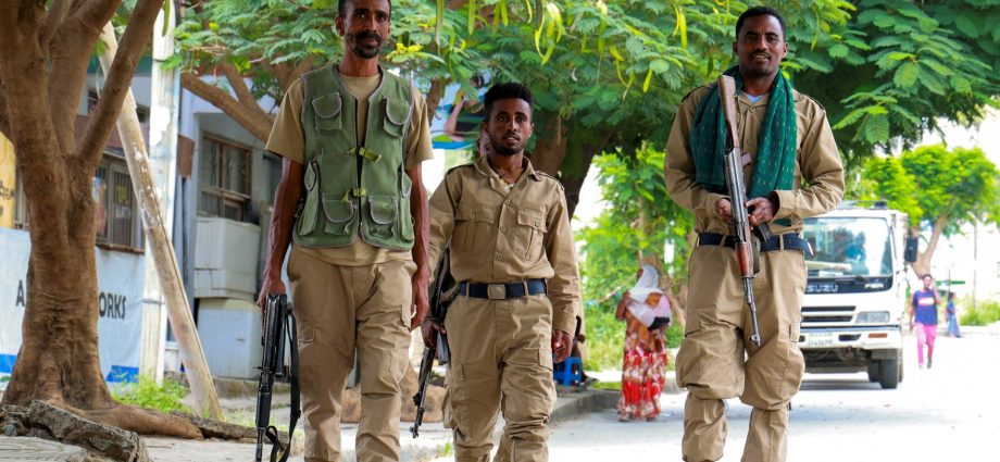ethiopian-army-says-272-tigrayan-fighters-killed-in-amhara