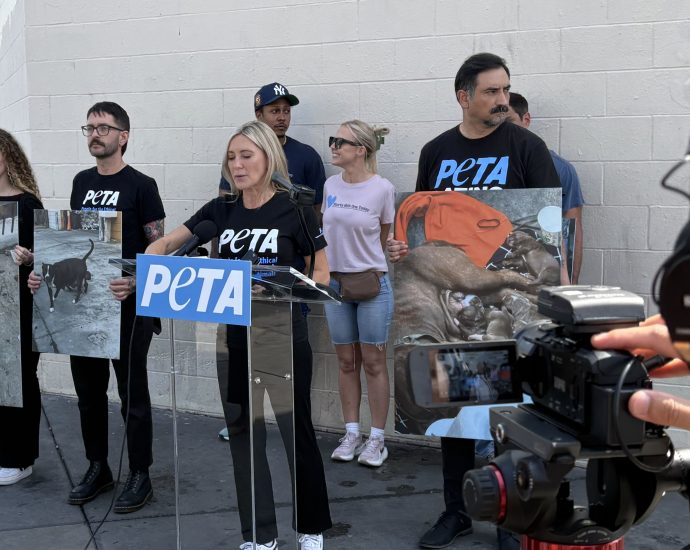 despite-not-protecting-skid-row-dogs,-some-animal-advocates-still-prefer-bass-for-reelection
