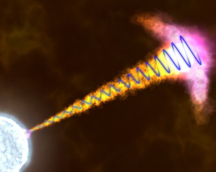 great-debates-of-astronomy:-the-distance-scale-to-gamma-ray-bursts-great-debate-in-1995