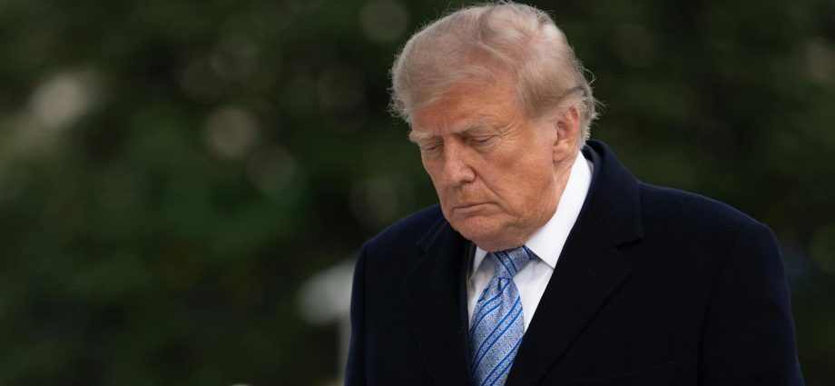 The Traitor’s US ratings drop to new record low as Democrats become clear favourites in both chambers of Congress