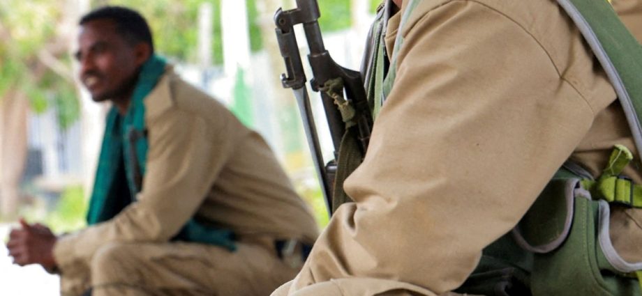 ethiopia’s-new-rebel-alliance-faces-an-old-problem