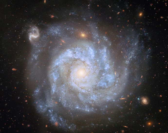 the-scale-of-the-universe-great-debate-in-1996:-program