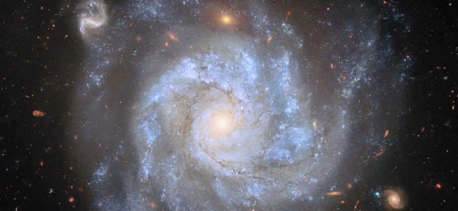 the-scale-of-the-universe-great-debate-in-1996:-program