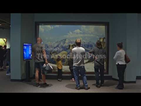 us.’-oldest-natural-history-museum-set-to-close-this-weekend