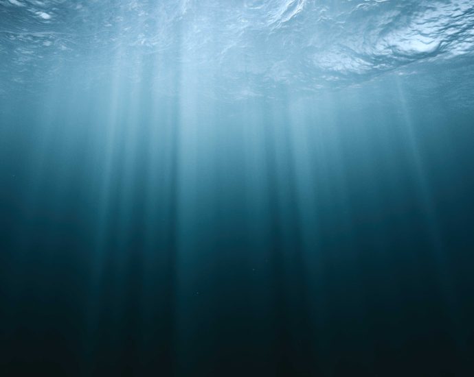 meta-floats-project-to-lay-first-petabit-submarine-fiberoptic-cable