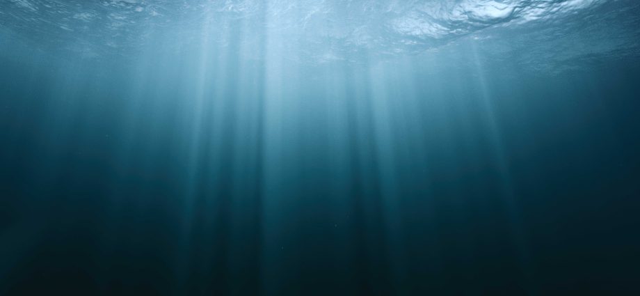 meta-floats-project-to-lay-first-petabit-submarine-fiberoptic-cable