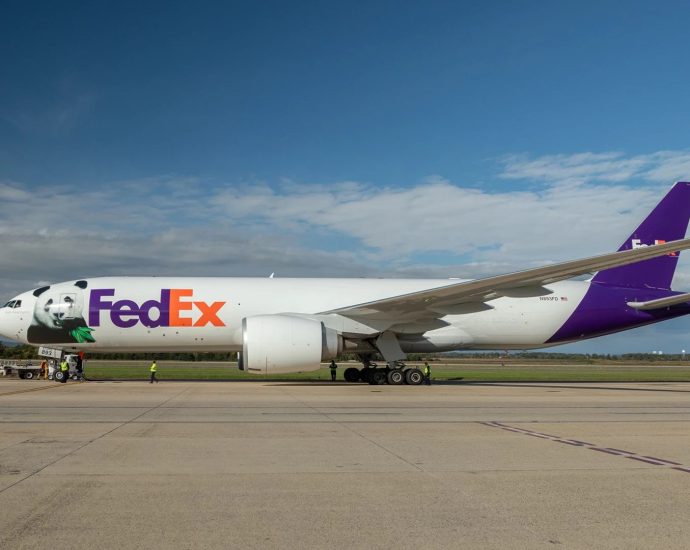 2-giant-pandas-fly-15-hours-nonstop-from-china-to-atlanta-on-fedex-boeing-777f
