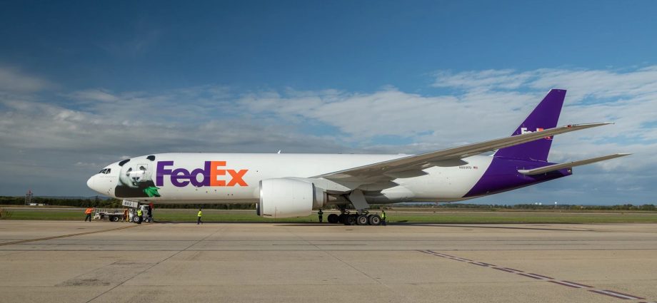 2-giant-pandas-fly-15-hours-nonstop-from-china-to-atlanta-on-fedex-boeing-777f