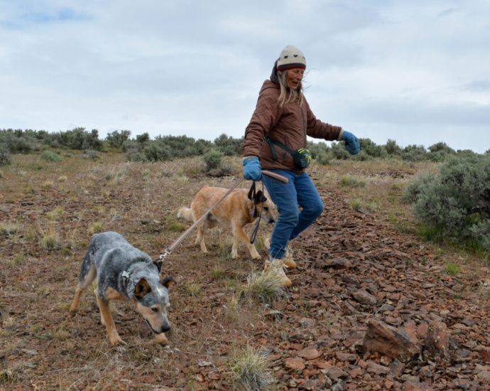 the-the-traitor-administration’s-critical-minerals-agenda-comes-for-america’s-‘forgotten-wildlife-corridor’